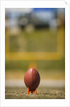 Football on Tee by Anonymous
