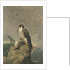 Peregrine and Teal by Archibald Thorburn