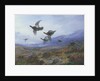 Grouse Taking Flight by Archibald Thorburn