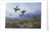 Grouse Taking Flight by Archibald Thorburn