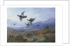 Grouse Taking Flight by Archibald Thorburn