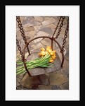 High angle view of a bunch of yellow flowers on the swing by Anonymous