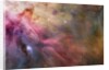 Gas and Dust in Orion Nebula by Anonymous