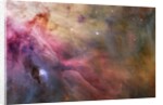 Gas and Dust in Orion Nebula by Anonymous