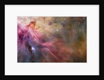 Gas and Dust in Orion Nebula by Anonymous