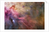 Gas and Dust in Orion Nebula by Anonymous