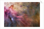 Gas and Dust in Orion Nebula by Anonymous