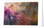 Gas and Dust in Orion Nebula by Anonymous