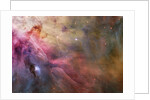 Gas and Dust in Orion Nebula by Anonymous