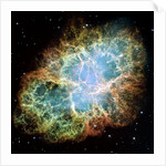 Crab Nebula by Anonymous