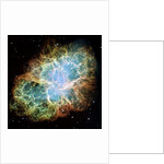 Crab Nebula by Anonymous