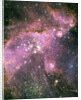 NGC 346 Star Cluster by Anonymous