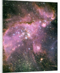 NGC 346 Star Cluster by Anonymous
