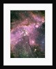 NGC 346 Star Cluster by Anonymous