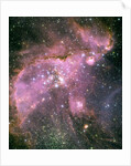 NGC 346 Star Cluster by Anonymous