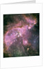 NGC 346 Star Cluster by Anonymous