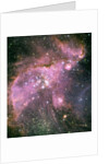 NGC 346 Star Cluster by Anonymous