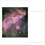 NGC 346 Star Cluster by Anonymous