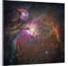 Orion Nebula by Anonymous