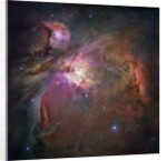 Orion Nebula by Anonymous