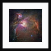 Orion Nebula by Anonymous