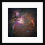 Orion Nebula by Anonymous
