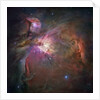 Orion Nebula by Anonymous