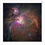 Orion Nebula by Anonymous