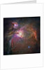 Orion Nebula by Anonymous