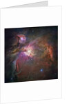 Orion Nebula by Anonymous