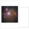 Orion Nebula by Anonymous