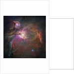 Orion Nebula by Anonymous