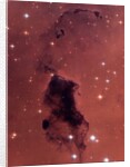 Gas and Dust in NGC 281 Galaxy Cluster by Anonymous