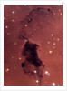 Gas and Dust in NGC 281 Galaxy Cluster by Anonymous