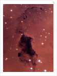 Gas and Dust in NGC 281 Galaxy Cluster by Anonymous