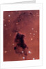 Gas and Dust in NGC 281 Galaxy Cluster by Anonymous