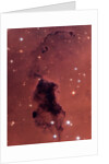 Gas and Dust in NGC 281 Galaxy Cluster by Anonymous