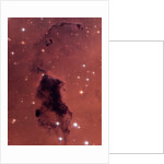 Gas and Dust in NGC 281 Galaxy Cluster by Anonymous