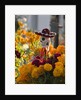 Day of the Dead Decorations by Anonymous