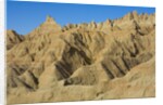 Eroded Sandstone Buttes and Pinnacles by Anonymous