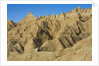 Eroded Sandstone Buttes and Pinnacles by Anonymous