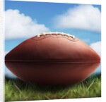 Football in Grass by Anonymous