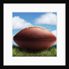 Football in Grass by Anonymous