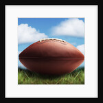 Football in Grass by Anonymous