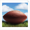 Football in Grass by Anonymous