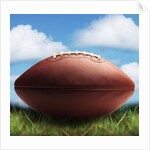 Football in Grass by Anonymous