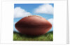 Football in Grass by Anonymous