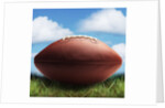 Football in Grass by Anonymous