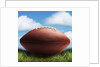 Football in Grass by Anonymous