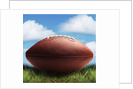 Football in Grass by Anonymous